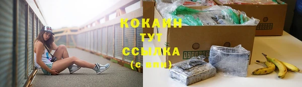 твердый Чекалин