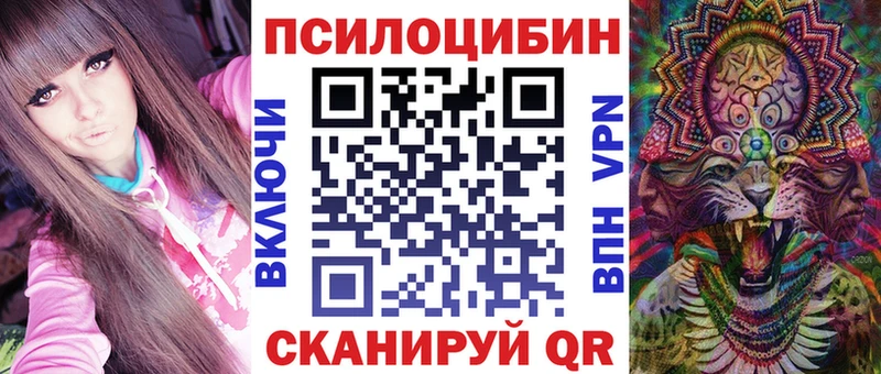 Купить  Хвалынск  Галлюциногенные грибы Magic Shrooms 